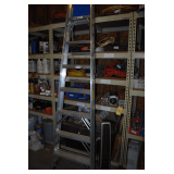Werner 8 Ft. Ladder