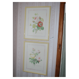 Vintage Framed Botanical Art Prints