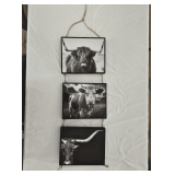 3-Tier Longhorn Photographs