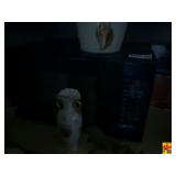 Black Countertop Microwave Oven