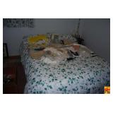 Assorted Household Decor, Tableware, and Holiday Items