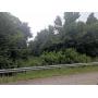 Estate Auction:  9.3 Wooded Acres± As A Whole