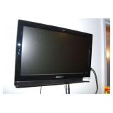 Insignia Flat Screen Television