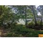Wooded Waterfront Lot On Elk River Plus Pontoon & Jon Boat