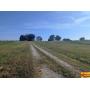 Rustic 2-Bedroom County Home On 4.45 Acres± In West Limestone County