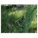 John Deere Hay Spear