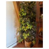 Artificial Ficus Tree in Woven Basket