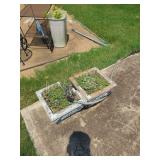 Concrete Planters
