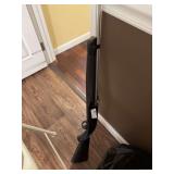 Remington AirMaster 77 .177 Caliber Pellet and BB Air Rifle