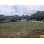 4.5 Acre± Setting For Your New Home:  LIVE Auction