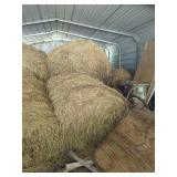 Hay