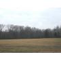 20+ Acres in 1 Tract