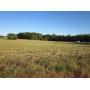 3 Nice Open Building Lots