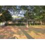 Estate * Nice Brick/Vyl. Home & 6 +- Ac.