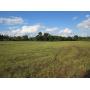 13-1/2 Acres In 1 Tract