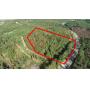 Absolute Auction-Calhoun County Properties