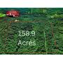 158.9 Acres Public Land Auction Dallas County, Alabama