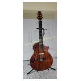 Ibanez electric Acoustic with hard case