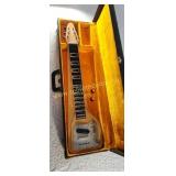 Lap Steel guitar and hard case