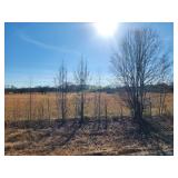 34 ac +/- 460 County Road 273