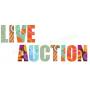 Absolute Live Auction March 25th in Berea #252