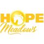 Benefit Auction for Hope Meadows