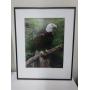 Beautiful Bill Gance Bald Eagle photograph!