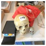 Candy5 HDII video magnifier,skulls, toys