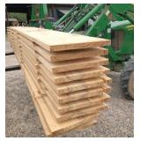 10) fresh cut  12 ft  pine 1" x 12" full size