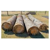 4 pine logs 16 
