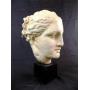 Greek Bust on Pedestal