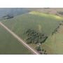 140 +/- Acres in Section 18 Swenoda Township in Swift County