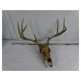 Antlers #1