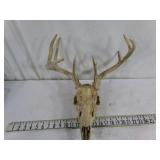 Antlers #3
