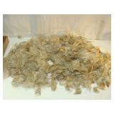 Many Many Bags of Short Screws