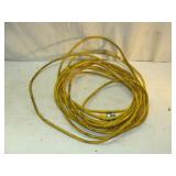 Yellow Cord