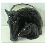 Black Horse and Colt