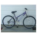 Nice ROADMASTER Bike