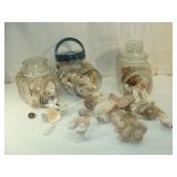 Jars of Smaller Sea Shells and Related