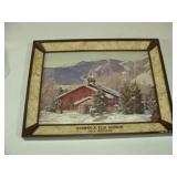 Viola - Norman and Ella Bergum Advert Gift