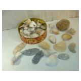 Sponge and Sea Shells in a Tin