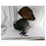 Single Large Turkey Decoy with Fan  #2