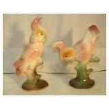 Nice Pair of Parakeets