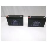 Two 6V - 10Ah Batteries