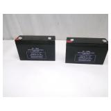 Two 6V - 10Ah Batteries