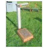 Platform Scale