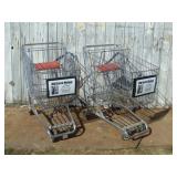 Two  Shopping Carts