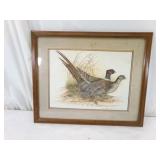 Pheasant Image - Barbara Blythe Winstead