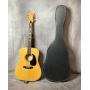 D'Agostino Model #D-65 acoustic guitar & case