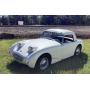 1959 Austin Healey Sprite "bugeye"